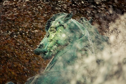Pauvre cheval