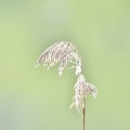  DSC4768