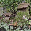  DSC6120