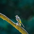 10082022- DSC5890